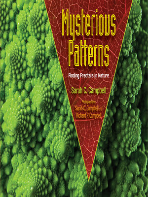 cover image of Mysterious Patterns